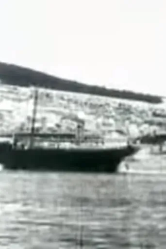 Port of Šibenik movie poster - Entertainment content