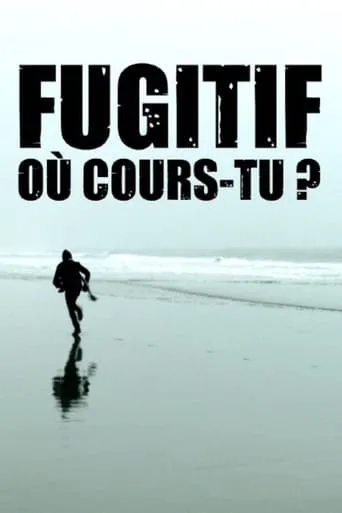 Fugitive, Where Are You Running to? movie poster - Rated 6/10