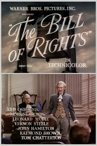 The Bill of Rights movie poster - Rated 6/10