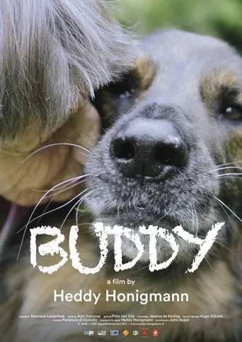 Buddy movie poster - Rated 8/10