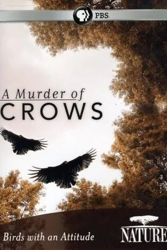 A Murder of Crows movie poster - Rated 8/10