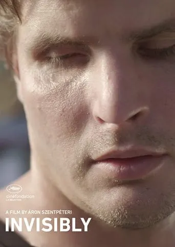 Invisibly movie poster - Rated 6.5/10