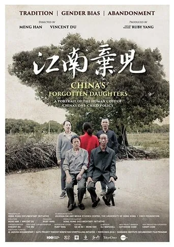 China's Forgotten Daughters movie poster - Entertainment content