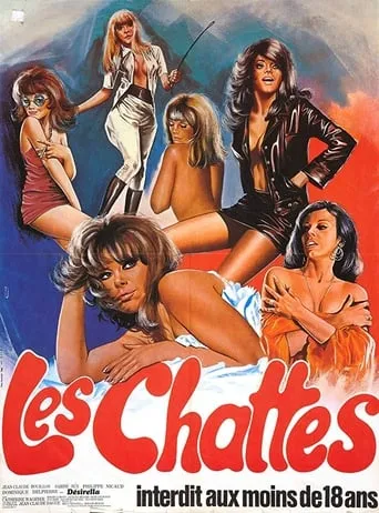 The Sextrovert movie poster - Rated 1/10