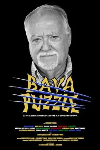Bava Puzzle movie poster - Entertainment content
