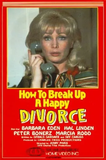 How to Break Up a Happy Divorce movie poster - Entertainment content