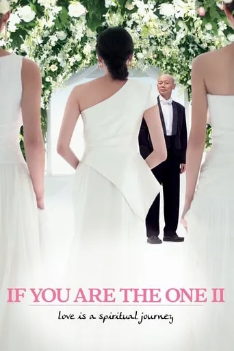 If You Are the One 2 movie poster - Rated 5.8/10