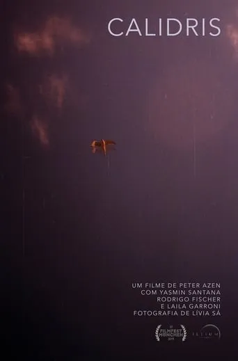 Calidris movie poster - Entertainment content