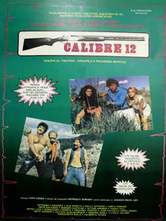 Calibre 12 movie poster - Entertainment content