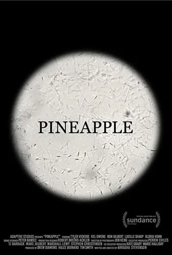 Pineapple movie poster - Entertainment content