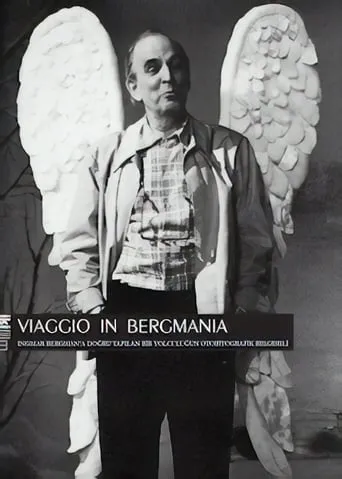 Viaggio in Bergmania movie poster - Rated 7/10