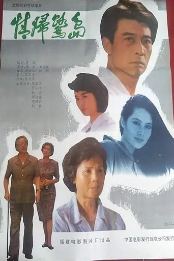 Coming Back to Xiamen movie poster - Entertainment content