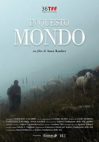 In This World movie poster - Rated 7.7/10
