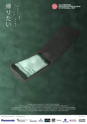 I Want to Go Home movie poster - Rated 8/10