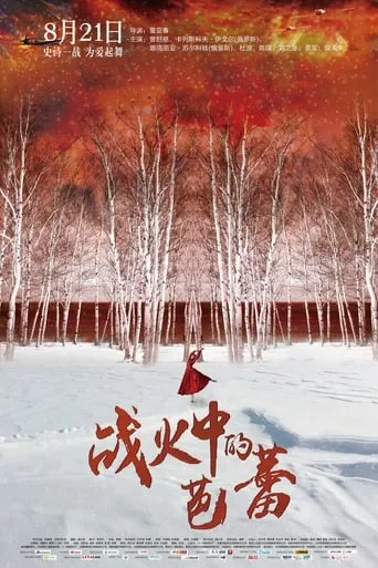 Ballet in the Flames of War movie poster - Rated 5/10
