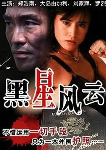 The Story of the Gun movie poster - Entertainment content