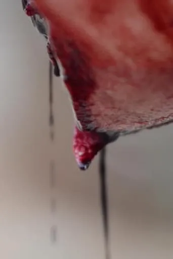 Meat movie poster - Entertainment content