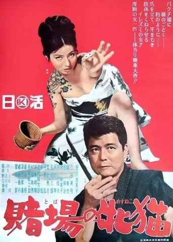 Gambling Kitten movie poster - Rated 6.7/10