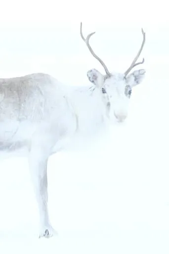 Spirit of the Reindeer movie poster - Entertainment content