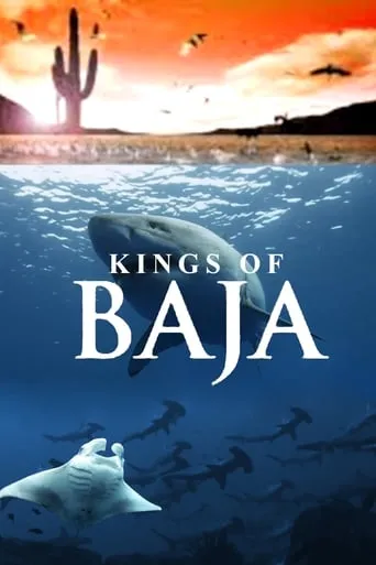 Kings of Baja movie poster - Rated 10/10