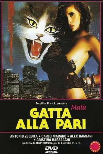 Gatta alla pari movie poster - Rated 4.5/10