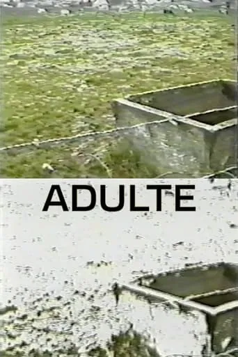 Adulte movie poster - Rated 5/10