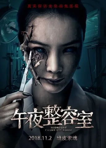 Painted Skin: The Double Mask movie poster - Rated 4/10