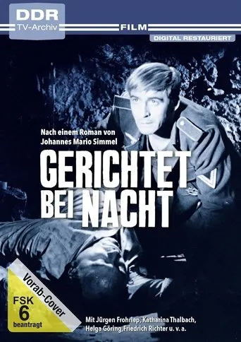 Gerichtet bei Nacht movie poster - Entertainment content