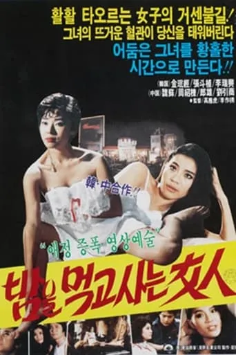 Woman Who Lives On Nights movie poster - Entertainment content
