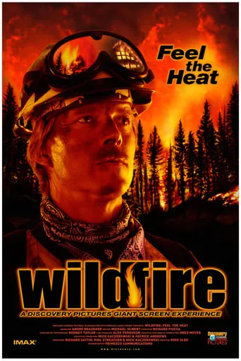 Wildfire: Feel the Heat movie poster - Entertainment content