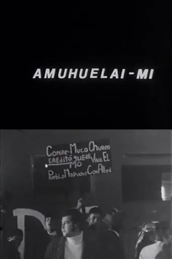 Amuhuelai-mi movie poster - Entertainment content
