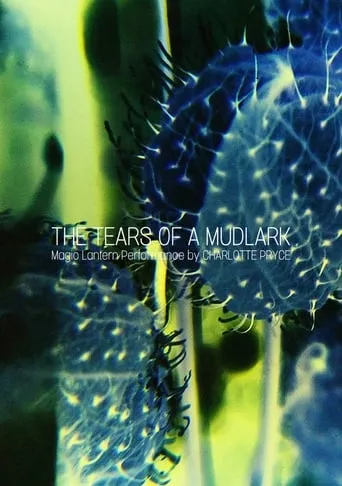 The Tears of a Mudlark movie poster - Entertainment content
