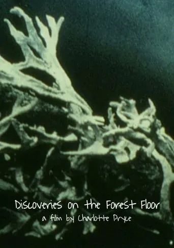 Discoveries on the Forest Floor 1-3 movie poster - Entertainment content