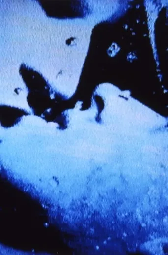 Self-Portrait in 23 Rounds: a Chapter in David Wojnarowicz’s Life, 1989–1991 movie poster - Entertainment content