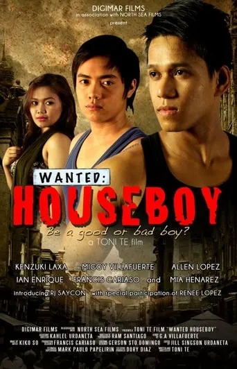 Wanted: Houseboy movie poster - Rated 3.5/10
