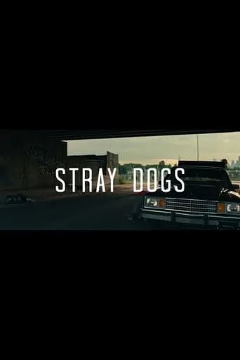 Stray Dogs movie poster - Entertainment content