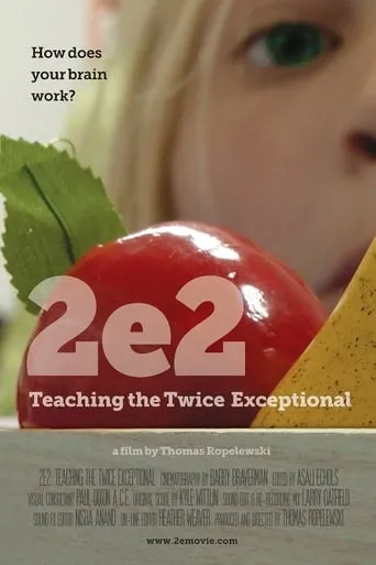 2e2: Teaching the Twice Exceptional movie poster - Entertainment content