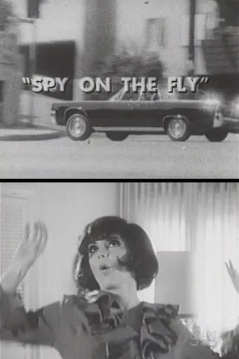 Spy on the Fly movie poster - Rated 4.5/10