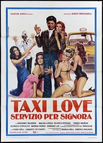 Taxi Love - Servizio per signora movie poster - Rated 3/10