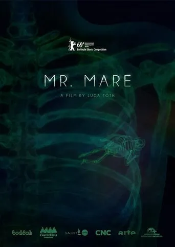 Mr. Mare movie poster - Rated 8/10