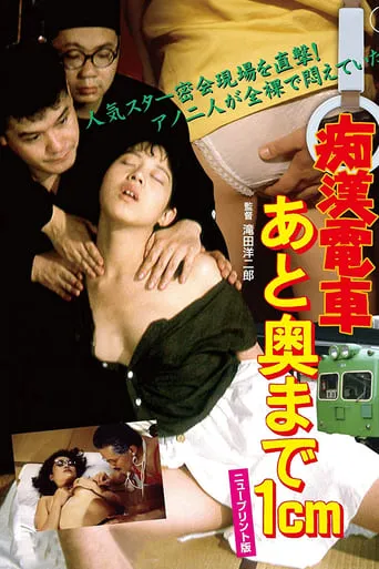 Groper Train: 1 Centimeter From The Wall movie poster - Rated 1/10