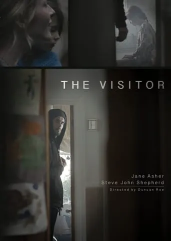 The Visitor movie poster - Entertainment content