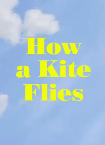 How a Kite Flies movie poster - Entertainment content