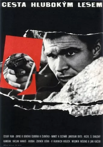 Passing Through a Thick Forest movie poster - Rated 8.5/10