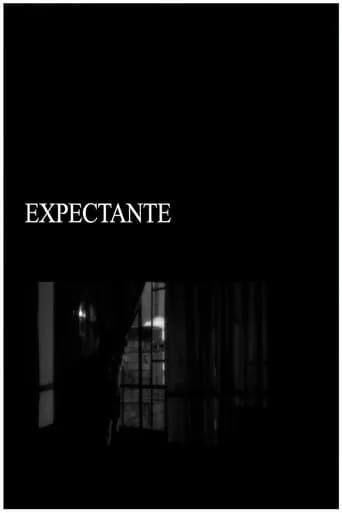 Expectant movie poster - Rated 5/10