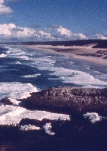 Ocean at Point Lookout movie poster - Entertainment content