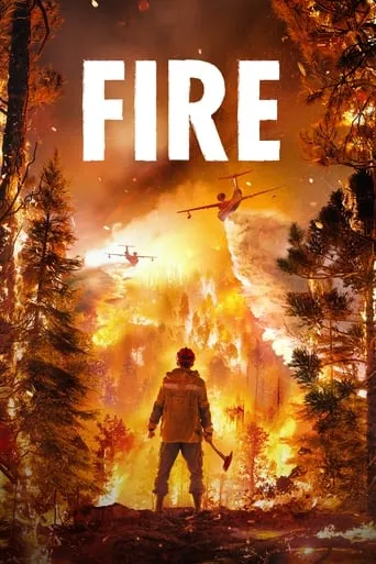 Fire movie poster - Rated 8/10