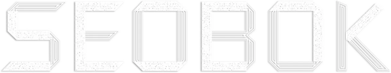 Seobok: Project Clone