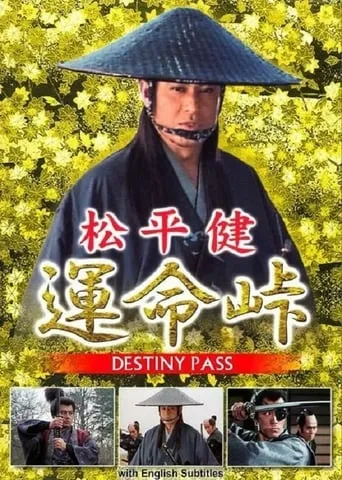 Destiny Pass movie poster - Entertainment content