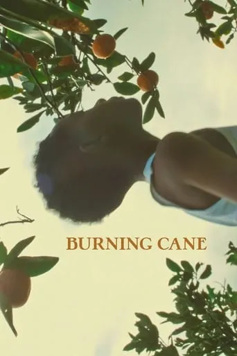 Burning Cane movie poster - Rated 5.7/10